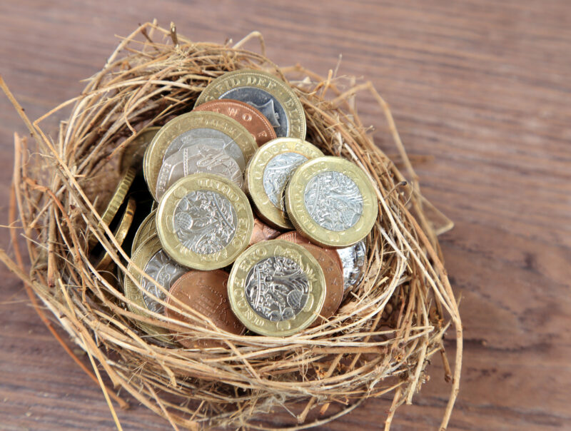 A nest filled with pound coins