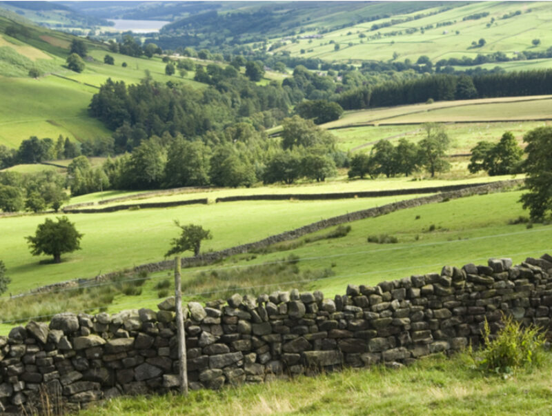 Green country fields, separated by dry stone walls