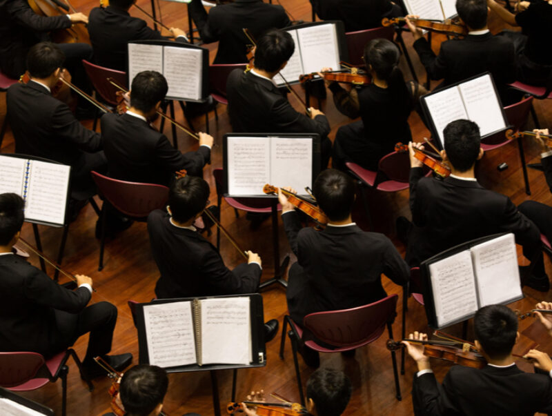 Violinists in an orchestra