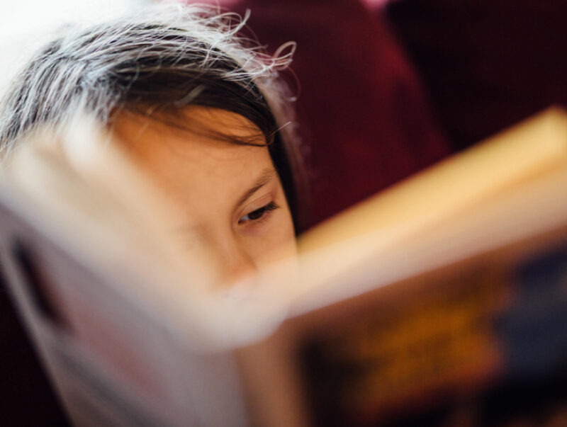 A young girl reading a book